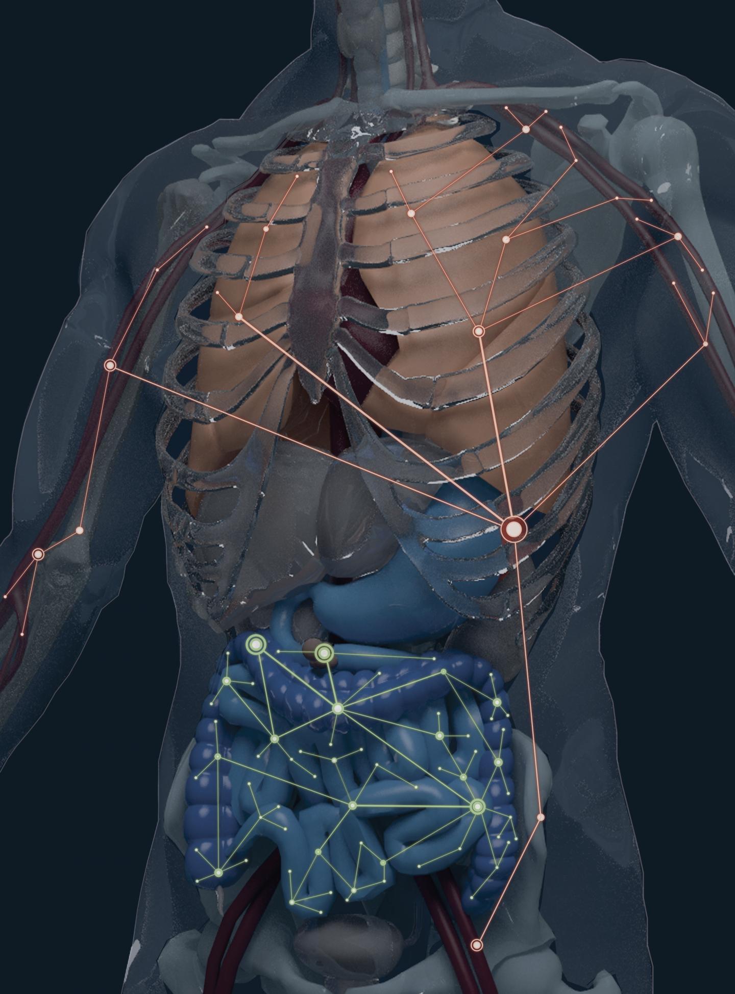 B-cell Clone Atlas