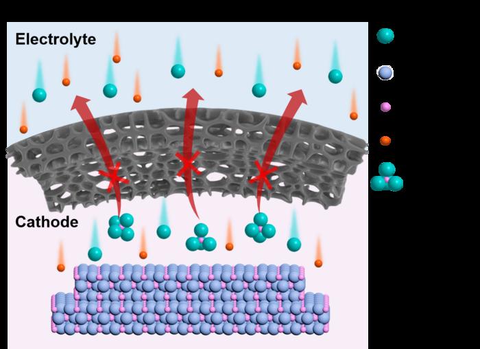 Illustration of size selective transmission of ions between electrolyte and cathode enabled by sub-nanoporous interface