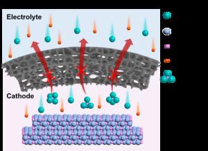 Illustration of size selective transmission of ions between electrolyte and cathode enabled by sub-nanoporous interface