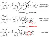 Epoxide-opening Cyclic Ether Formation