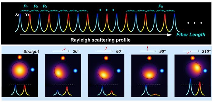 Figure 2 | Three-dimensional deformation encoding using misplaced orthogonal eccentric scatterers.