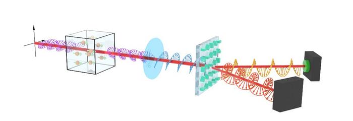 Phase-Gradient Metasurface Enables Atomic Spin Chirality Detection for Elliptically Polarized Laser-Pumped Atomic Magnetometer