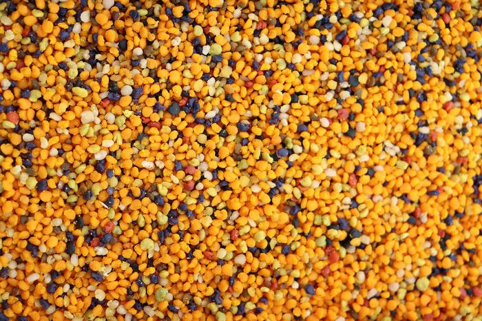 Pollen Diversity in a Beehive