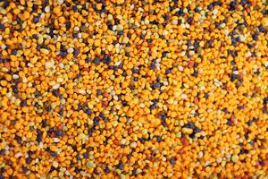 Pollen Diversity in a Beehive