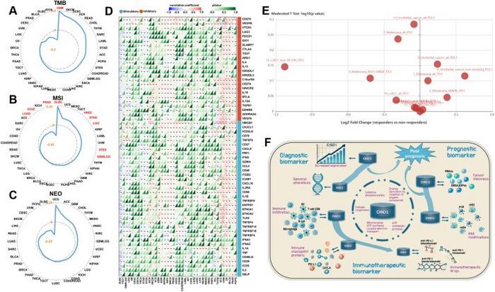 Correlation analysis between CISD1 and immune checkpoint blockade proteins.