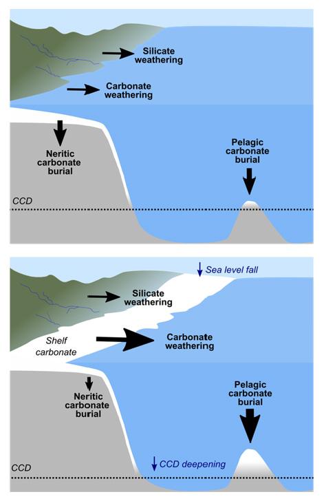 Carbonate deposition