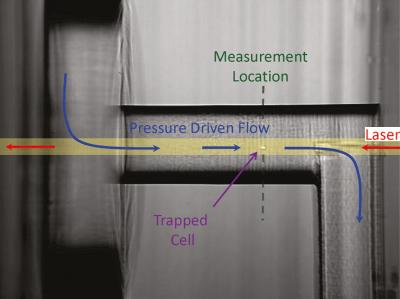 Optical Chromatography