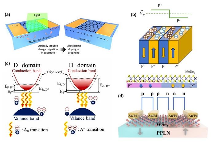 Modulation effect of LN spontaneous polarization
