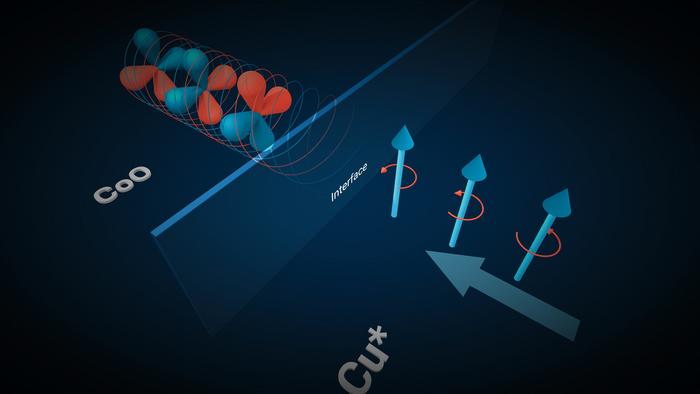An orbital current generated in copper (Cu*) can, for the first time, be efficiently coupled to orbital moments in cobalt oxide (CoO).