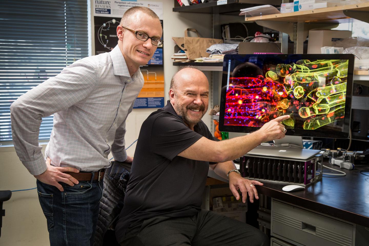 Grafted Plants' Genomes Can Communicate with Each Other