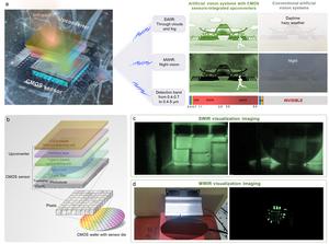 Figure 3. Artificial vision systems for ultra-high-resolution infrared imaging.