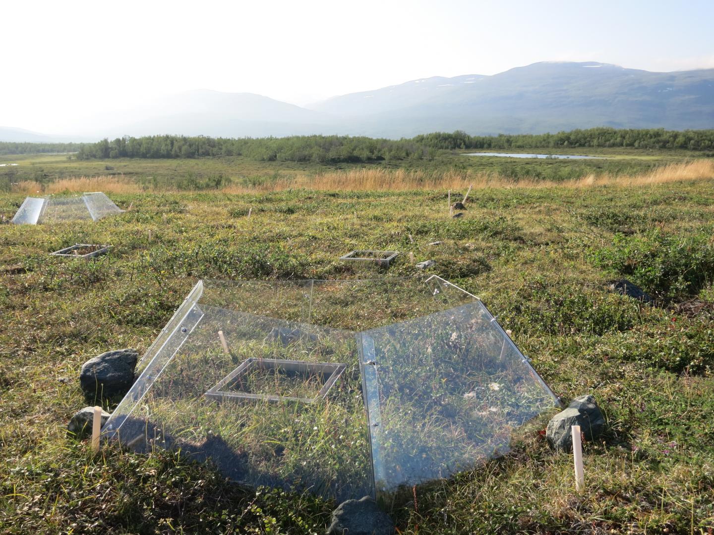 Field Photo