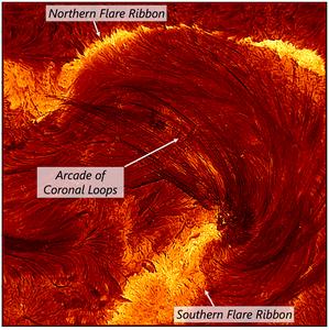 X-Class Solar Flare & Coronal Loops (Labeled)