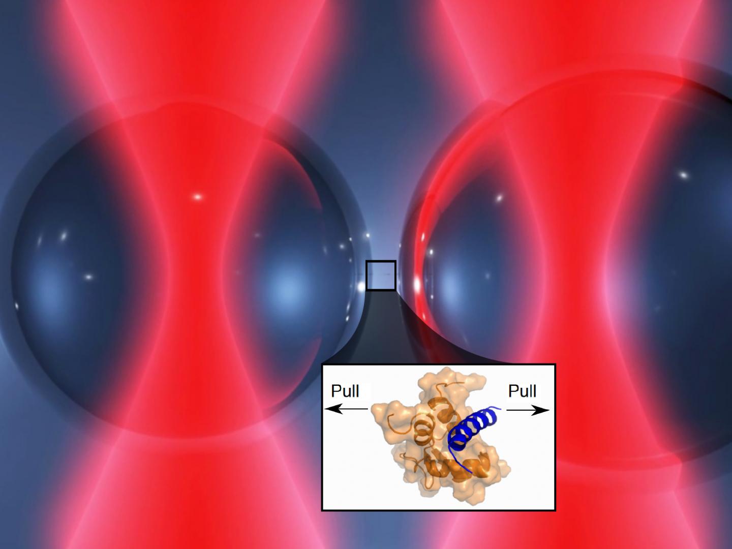 Optical Tweezers