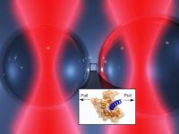 Optical Tweezers