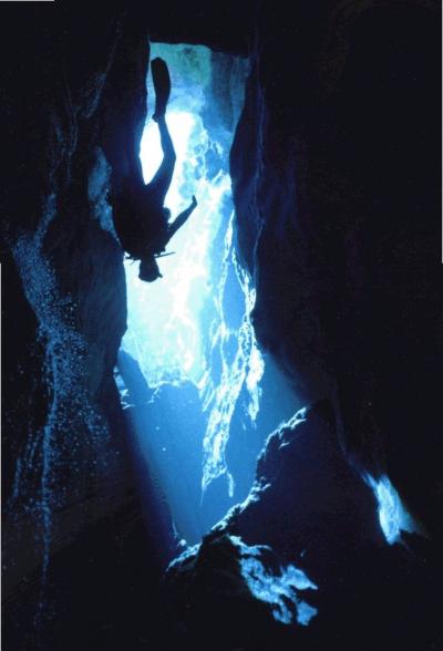 Devils Hole Diver