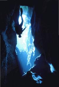 Devils Hole Diver