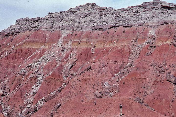 Paleosol