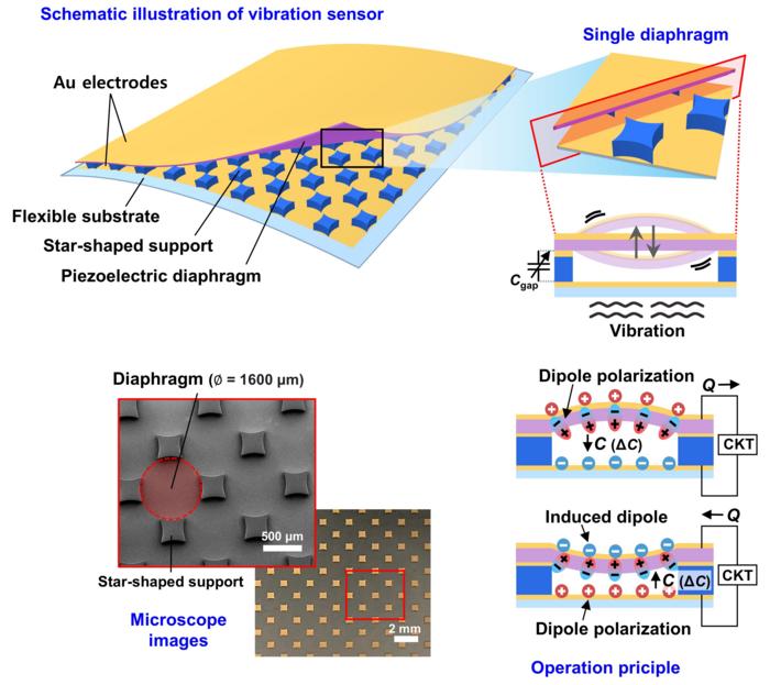 Schematic of a self-powered wearable vibration sensor developed by the research team of Professor Kilwon Cho at POSTECH.