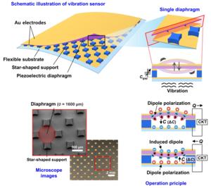 Schematic of a self-powered wearable vibration sensor developed by the research team of Professor Kilwon Cho at POSTECH.