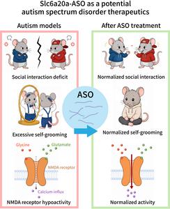 glutathion autisme New therapy may reverse autism-related brain deficits Glutathione and Detox Pathways in