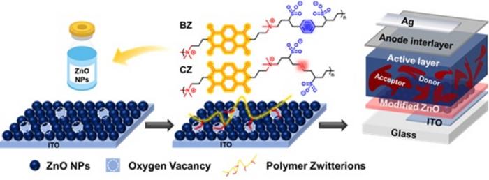 POLYMER ZWITTERIONS MODIFIED ZnO AS INTERLAYERS FOR ORGANIC SOLAR CELLS