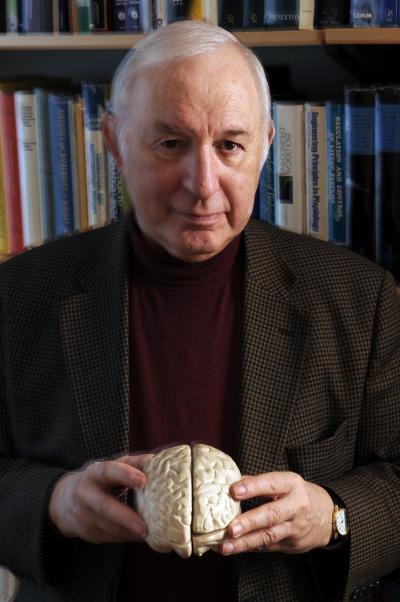 Mathematics and the Brain