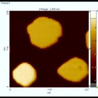 Liquid-like Movement of the Wetting Layer