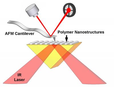Atomic Force Microscope Infrared Spectroscopy