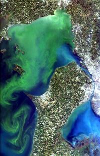 HICO Western Lake Erie