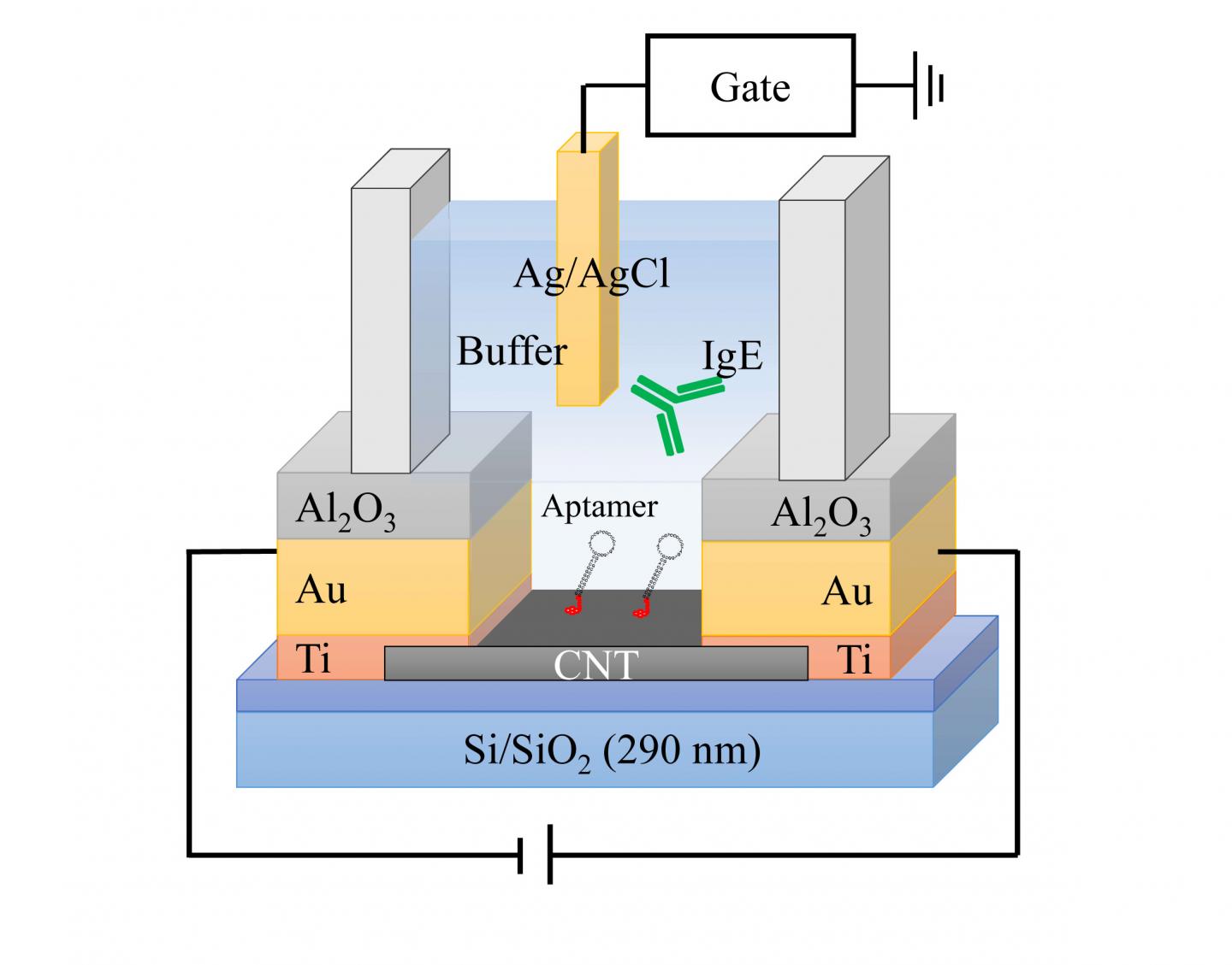 Schematic Drawing of the Sensor Device Using the Aptamer-Modified CNT-TFT