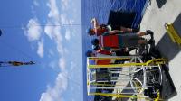 Collecting Samples