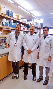 The research team