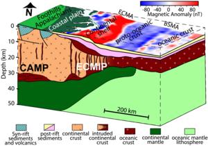 Schematic Interpretation