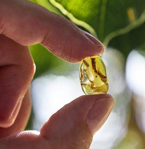 An ancient escape preserved in amber