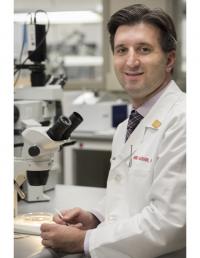 Amir H. Kashani, University of Southern California - Health Sciences