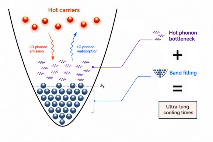 Two effects are required to delay cooling of hot electrons