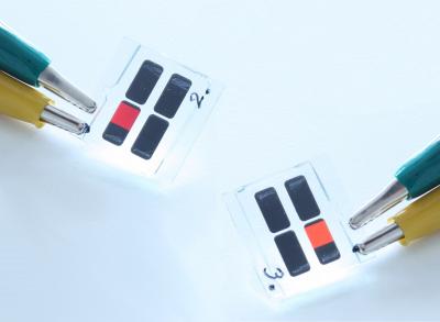 Liquid-Processed SiLEDs