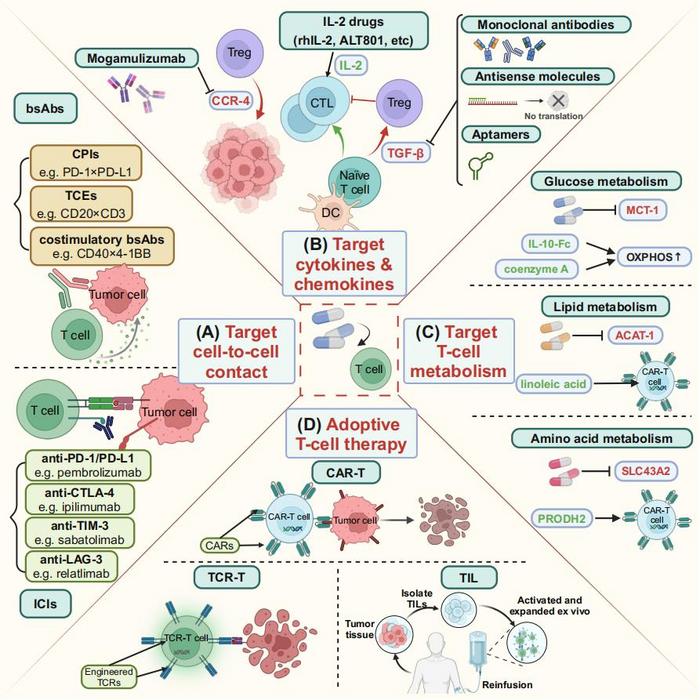 Therapeutic Strategies Targeting T-Cell Plasticity