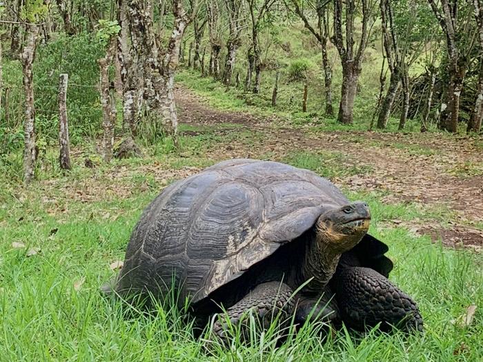 Galapagos Islands