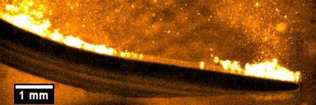 Cavitation in Action