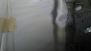 The aquaculture system in action