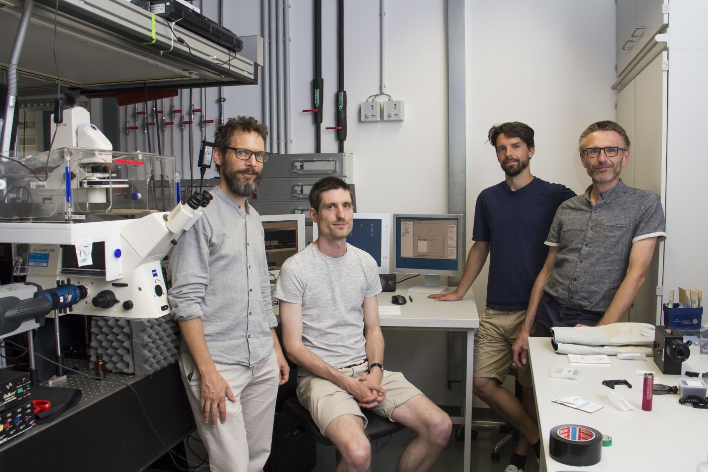 Immunology Team