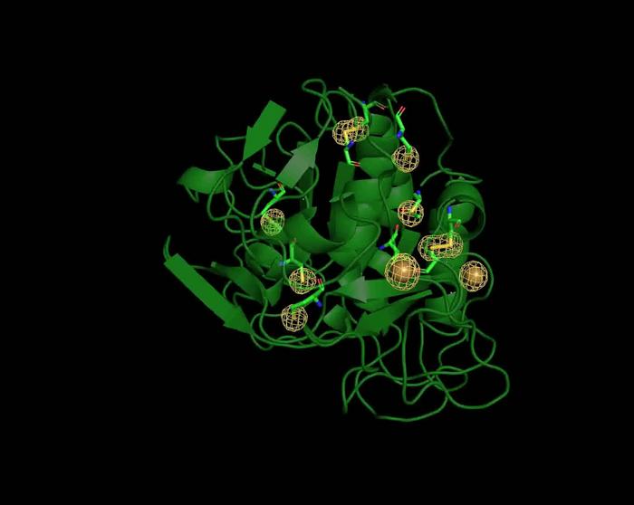 First protein structure solved