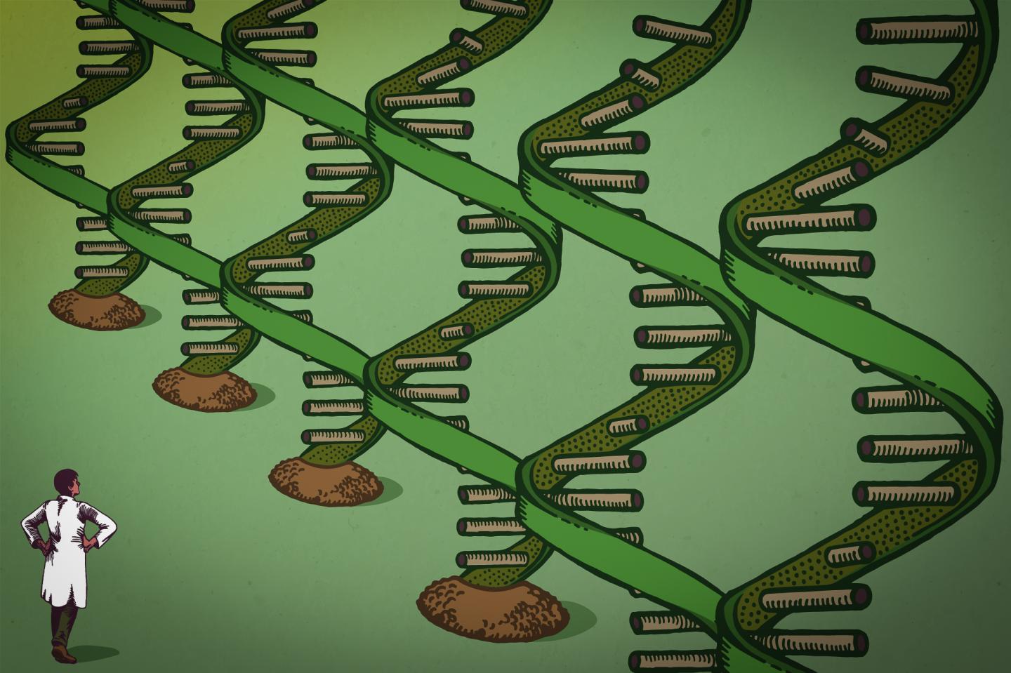 RNA