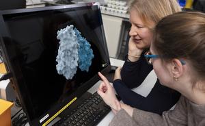 Molecular structure in the Diamond laboratory