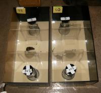 Social Interaction Mouse Box