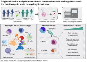 Abstract of Single-cell omics analysis reveals tumor microenvironment rewiring after arsenic trioxide therapy in acute promyelocytic leukemia