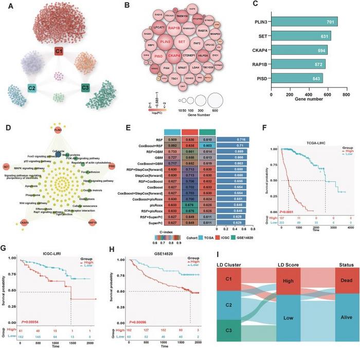 Characterization and prognostic analysis of hub lipid droplet-associated genes (LDAGs) in hepatocellular carcinoma.