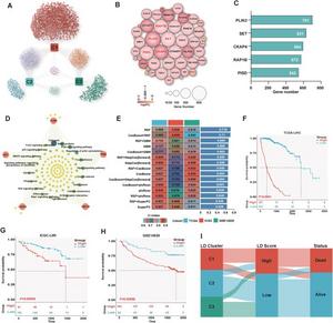 Characterization and prognostic analysis of hub lipid droplet-associated genes (LDAGs) in hepatocellular carcinoma.